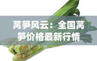 莴笋风云：全国莴笋价格最新行情揭秘
