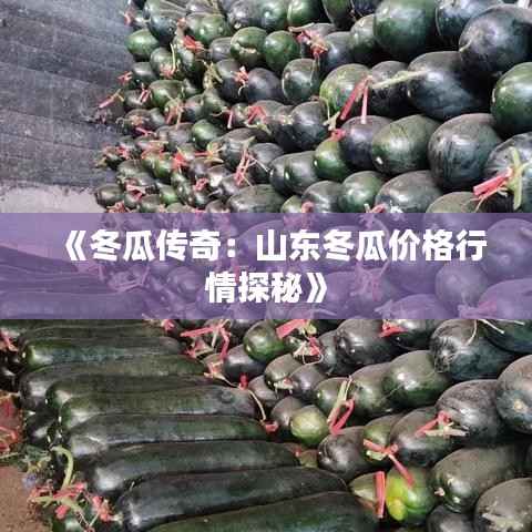 《冬瓜传奇：山东冬瓜价格行情探秘》