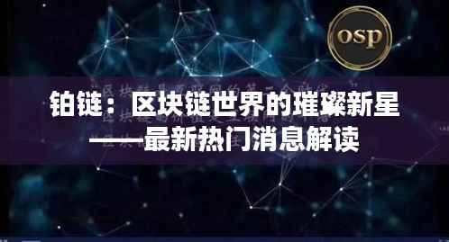 铂链:区块链世界的璀璨新星——最新热门消息解读