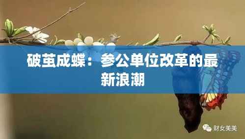 破茧成蝶:参公单位改革的最新浪潮