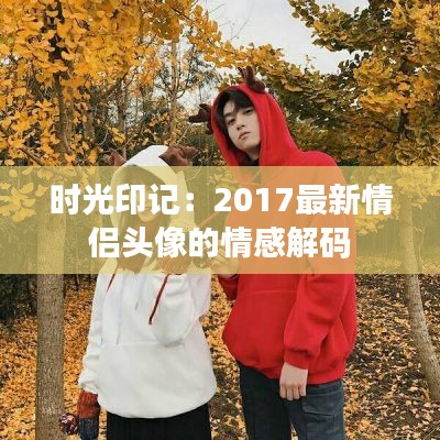 时光印记:2017最新情侣头像的情感解码