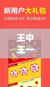 王中王一肖一中一特一中,深入解析设计数据_微型版1.610