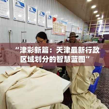 “津彩新篇:天津最新行政区域划分的智慧蓝图”
