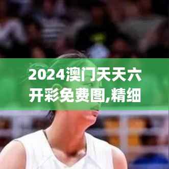 2024澳门天天六开彩免费图,精细评估说明_领航版5.833