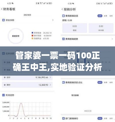 管家婆一票一码100正确王中王,实地验证分析策略_安卓10.303
