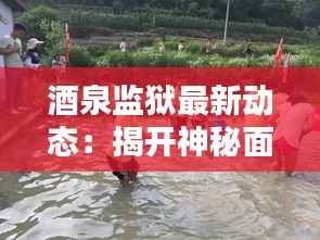 酒泉监狱最新动态:揭开神秘面纱的司法实践