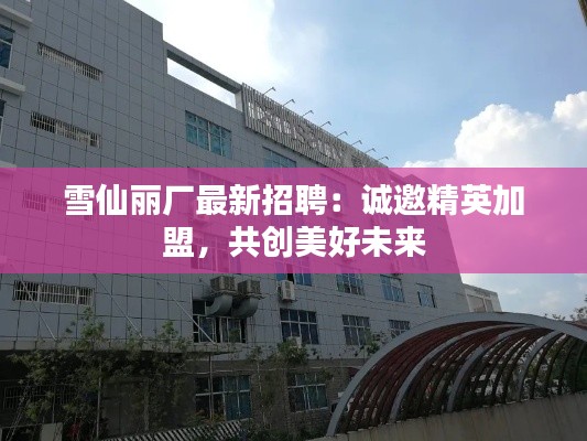 雪仙丽厂最新招聘:诚邀精英加盟,共创美好未来