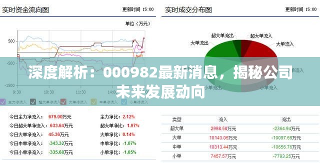深度解析:000982最新消息,揭秘公司未来发展动向