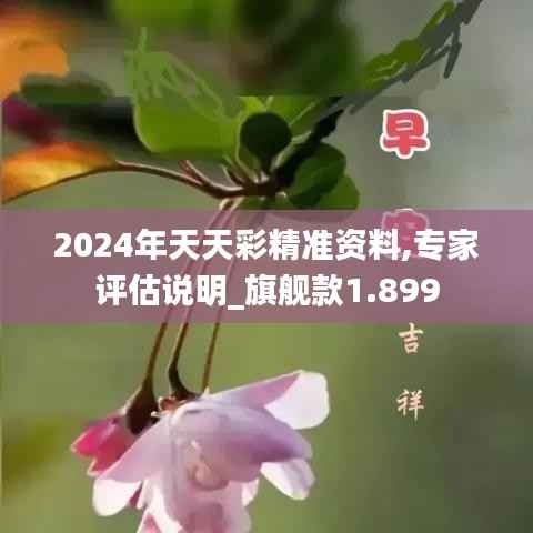 2024年天天彩精准资料,专家评估说明_旗舰款1.899