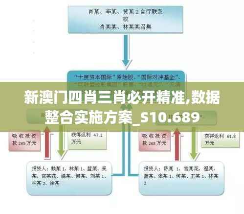 新澳门四肖三肖必开精准,数据整合实施方案_S10.689