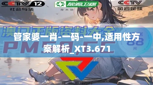 管家婆一肖-一码-一中,适用性方案解析_XT3.671