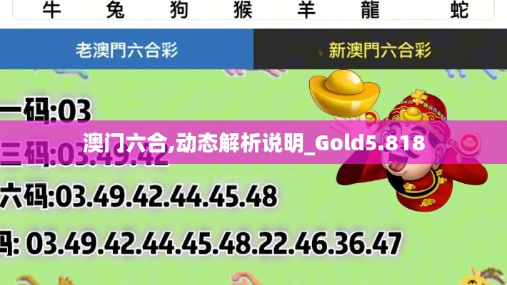澳门六合,动态解析说明_Gold5.818