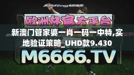 新澳门管家婆一肖一码一中特,实地验证策略_UHD款9.430