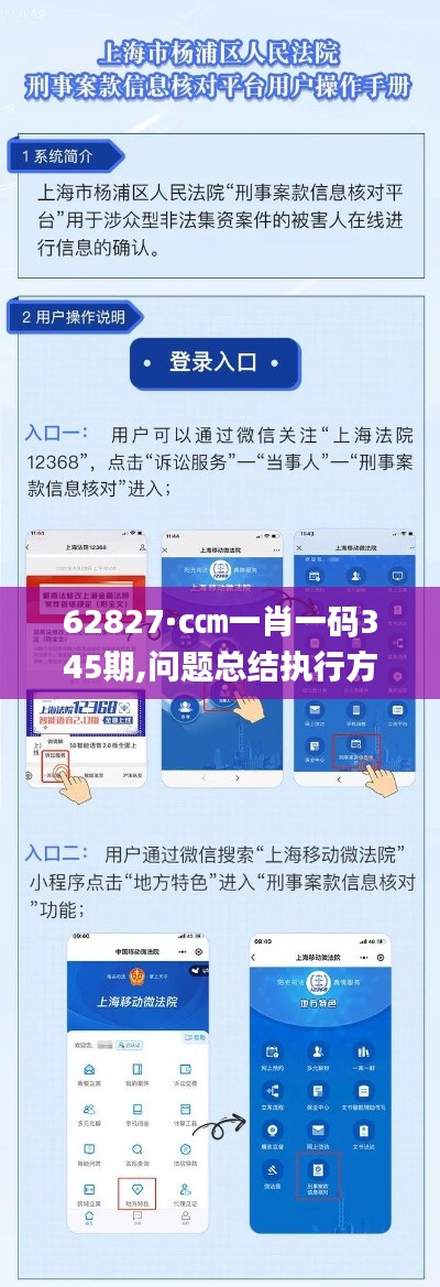 62827·c㎝一肖一码345期,问题总结执行方案_kit2.291