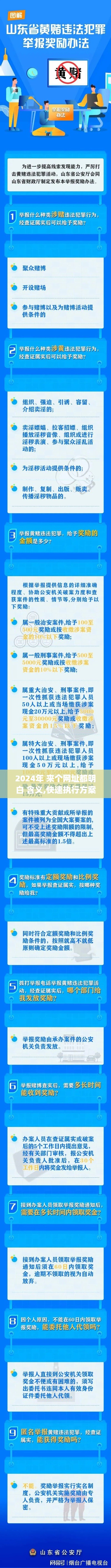 2024年 来个网址都明白 含义,快速执行方案解答_模拟版19.671