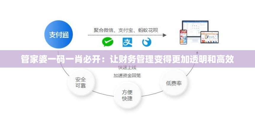 管家婆一码一肖必开:让财务管理变得更加透明和高效