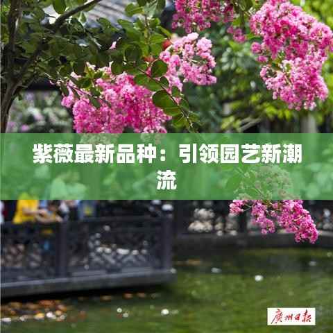 紫薇最新品种:引领园艺新潮流