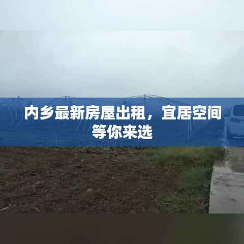 内乡最新房屋出租,宜居空间等你来选