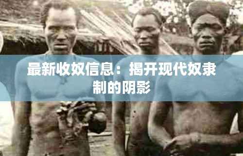 尊道贵德 第3页