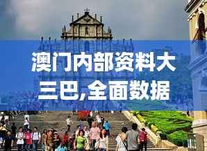 澳门内部资料大三巴,全面数据解析执行_专属款11.816