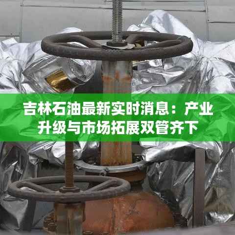 吉林石油最新实时消息：产业升级与市场拓展双管齐下