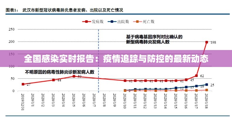 全国感染实时报告:疫情追踪与防控的最新动态