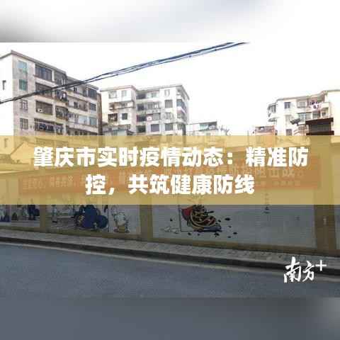 肇庆市实时疫情动态：精准防控，共筑健康防线