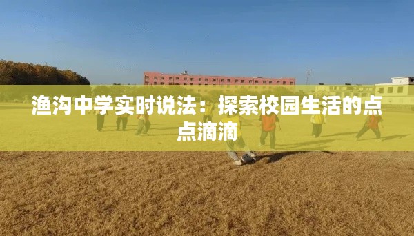 百不获一 第3页