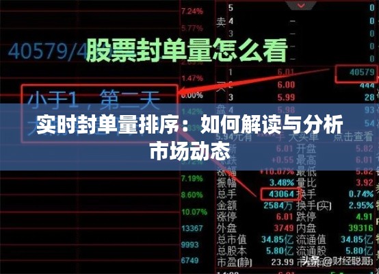 实时封单量排序：如何解读与分析市场动态