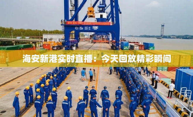 海安新港实时直播:今天回放精彩瞬间