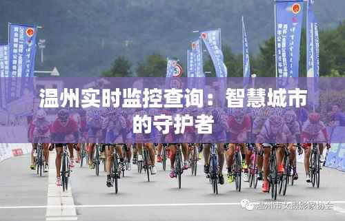 温州实时监控查询:智慧城市的守护者