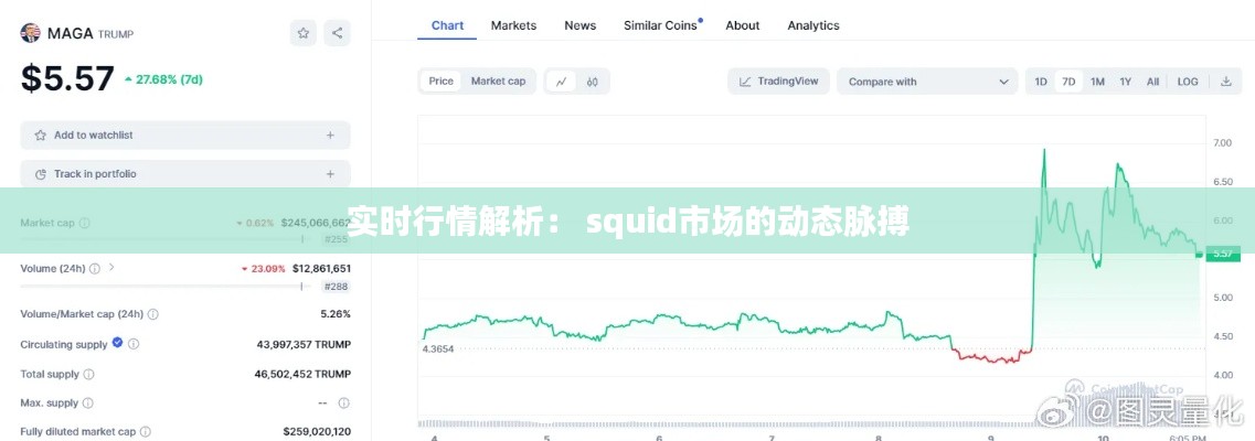 实时行情解析: squid市场的动态脉搏