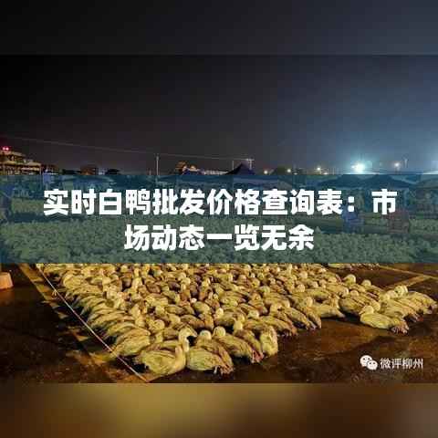 实时白鸭批发价格查询表:市场动态一览无余