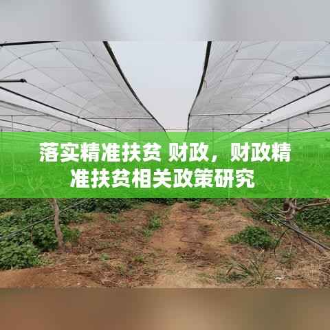 落实精准扶贫 财政，财政精准扶贫相关政策研究 
