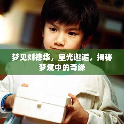 梦见刘德华,星光邂逅,揭秘梦境中的奇缘