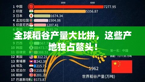 全球稻谷产量大比拼，这些产地独占鳌头！