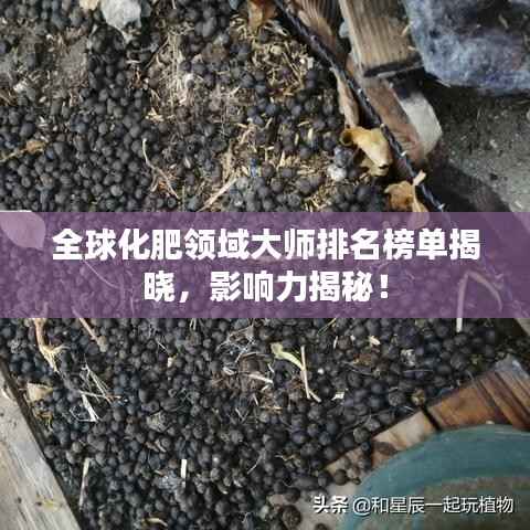 全球化肥领域大师排名榜单揭晓，影响力揭秘！