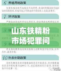 山东铁精粉市场犯罪问题与监管措施深度解析，最新消息一网打尽！