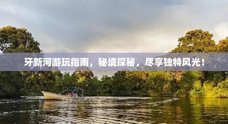 牙新河游玩指南,秘境探秘,尽享独特风光!