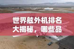 鸟为食亡 第3页