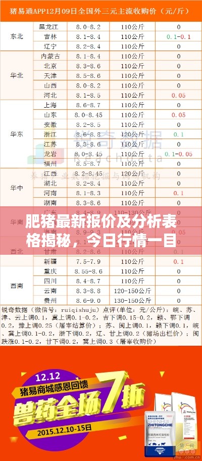 肥猪最新报价及分析表格揭秘,今日行情一目了然