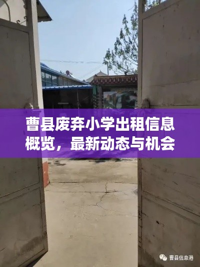 曹县废弃小学出租信息概览,最新动态与机会探索