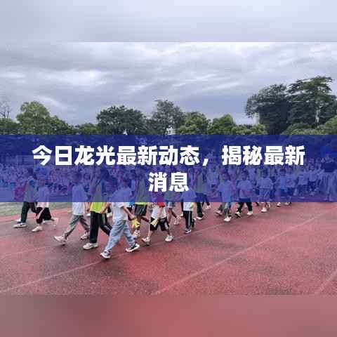 今日龙光最新动态,揭秘最新消息