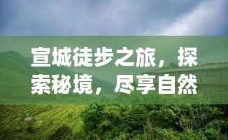宣城徒步之旅，探索秘境，尽享自然之美！
