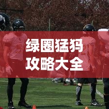 绿圈猛犸攻略大全，核心战术揭秘，挑战轻松应对