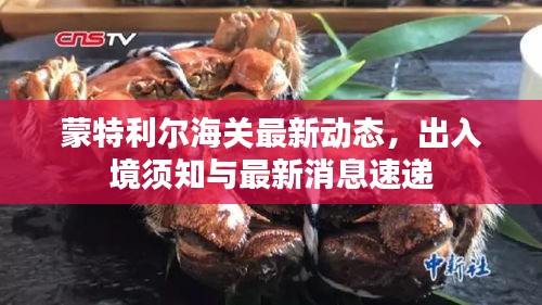 蒙特利尔海关最新动态，出入境须知与最新消息速递