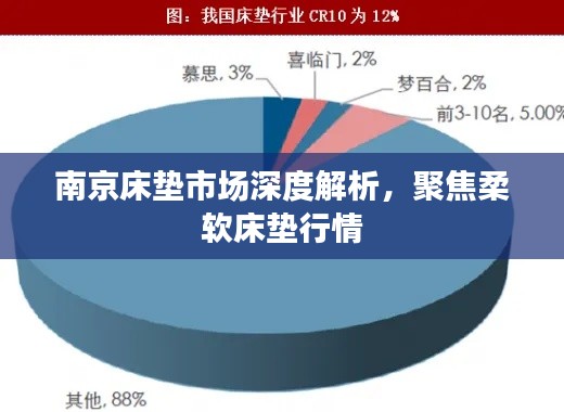 南京床垫市场深度解析,聚焦柔软床垫行情