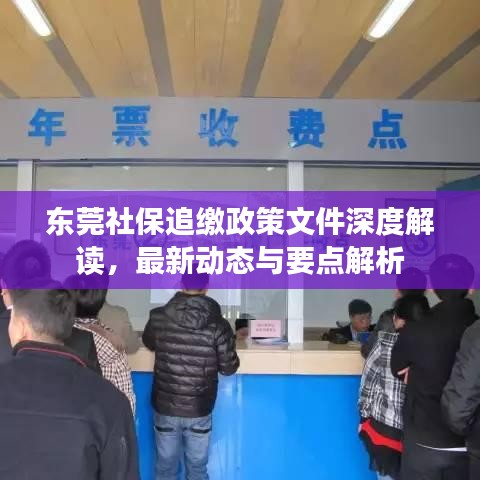 东莞社保追缴政策文件深度解读，最新动态与要点解析
