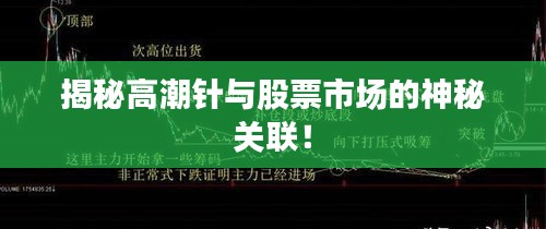 揭秘高潮针与股票市场的神秘关联!