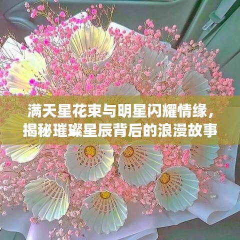 满天星花束与明星闪耀情缘,揭秘璀璨星辰背后的浪漫故事